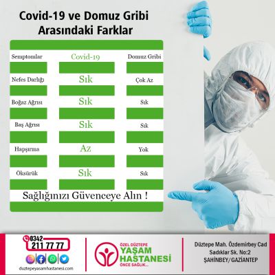 Covid-19 - Domuz Gribi