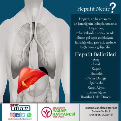 Hepatit
